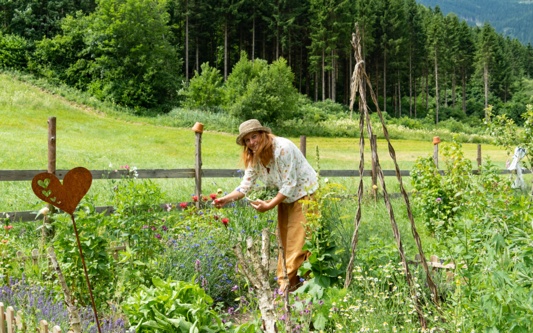 „Wöchentlicher Kräuterrundgang“